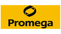 ellipse formation client Promega