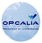 Formation Actions Collectives Opcalia